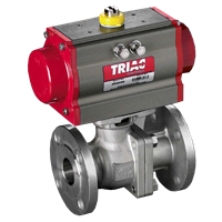 FD9 Series 300# Flanged Automated Ball Valve